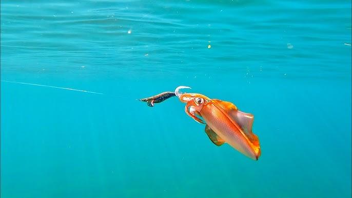 Squid Fishing Reel - ReelsDeal Fishing Sale NZ