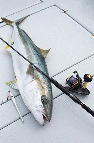 Daiwa BG SW 4000D-CXH Spinning Reel - ReelsDeal Fishing Sale NZ - NZ's 1st fishing discount shop