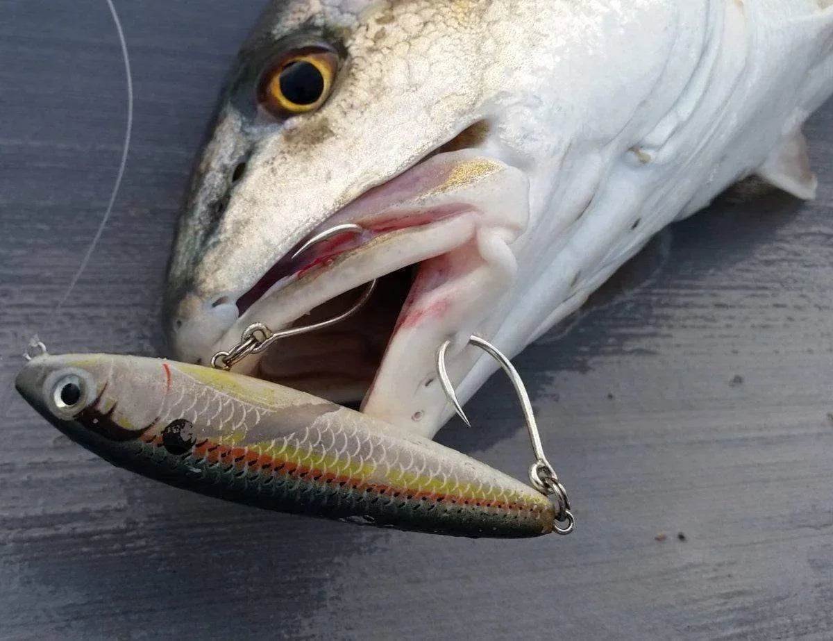 Mustad Kaiju InLine Jig Assist Hook - ReelsDeal Fishing Sale NZ - NZ's 1st fishing discount shop