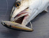 Mustad Kaiju InLine Jig Assist Hook - ReelsDeal Fishing Sale NZ - NZ's 1st fishing discount shop